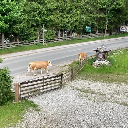 Haus Am Muehlenweg Altenmarkt im Pongau